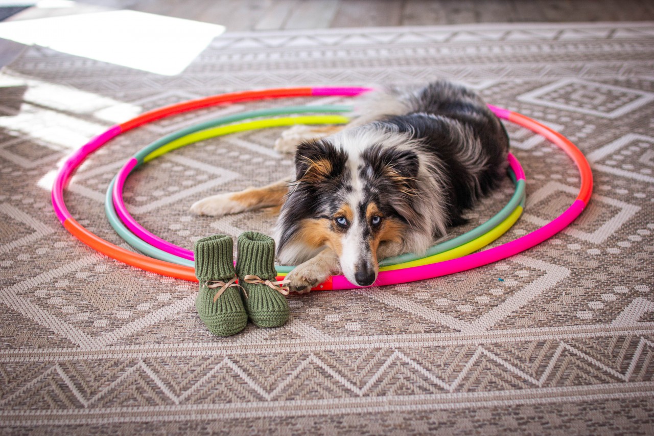 WIR SIND IN DER BABY-PAUSE